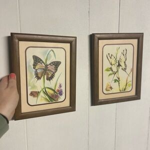 Butterfly Wall Art Set with Brown Frames